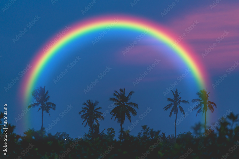 Coconut tree on sky with rainbow