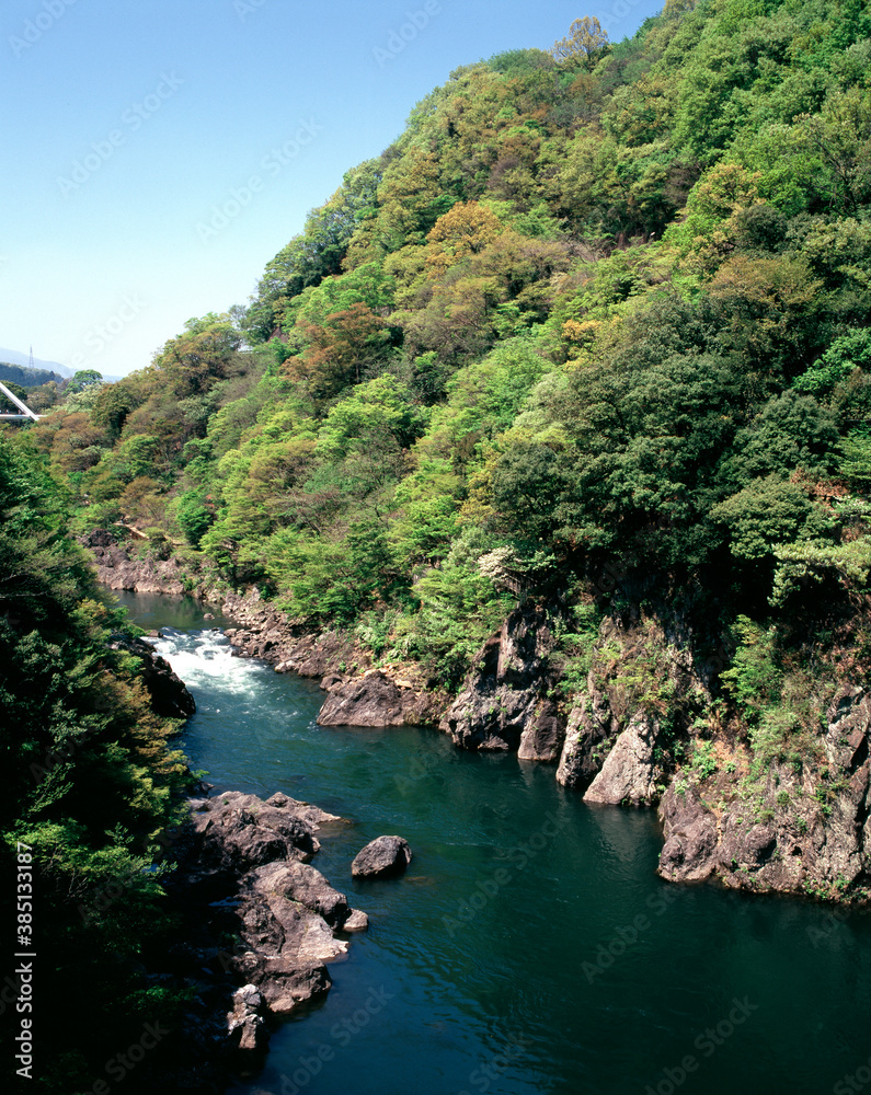 新緑の高津戸峡