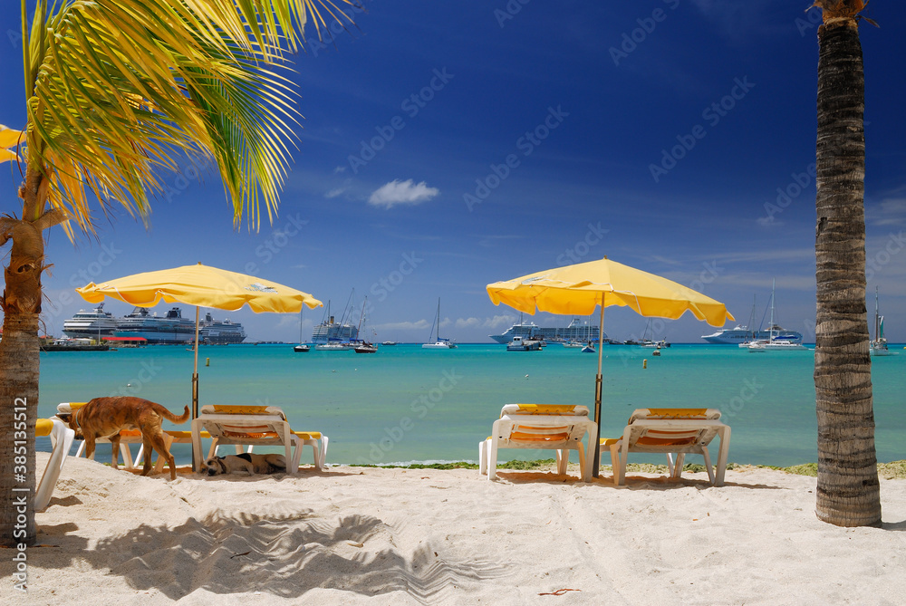 Yellow beach umbrellas at Great Bay Philipsburg with dogs