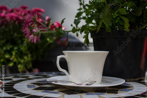  White coffee cup and a pot of pink chrysanthemums