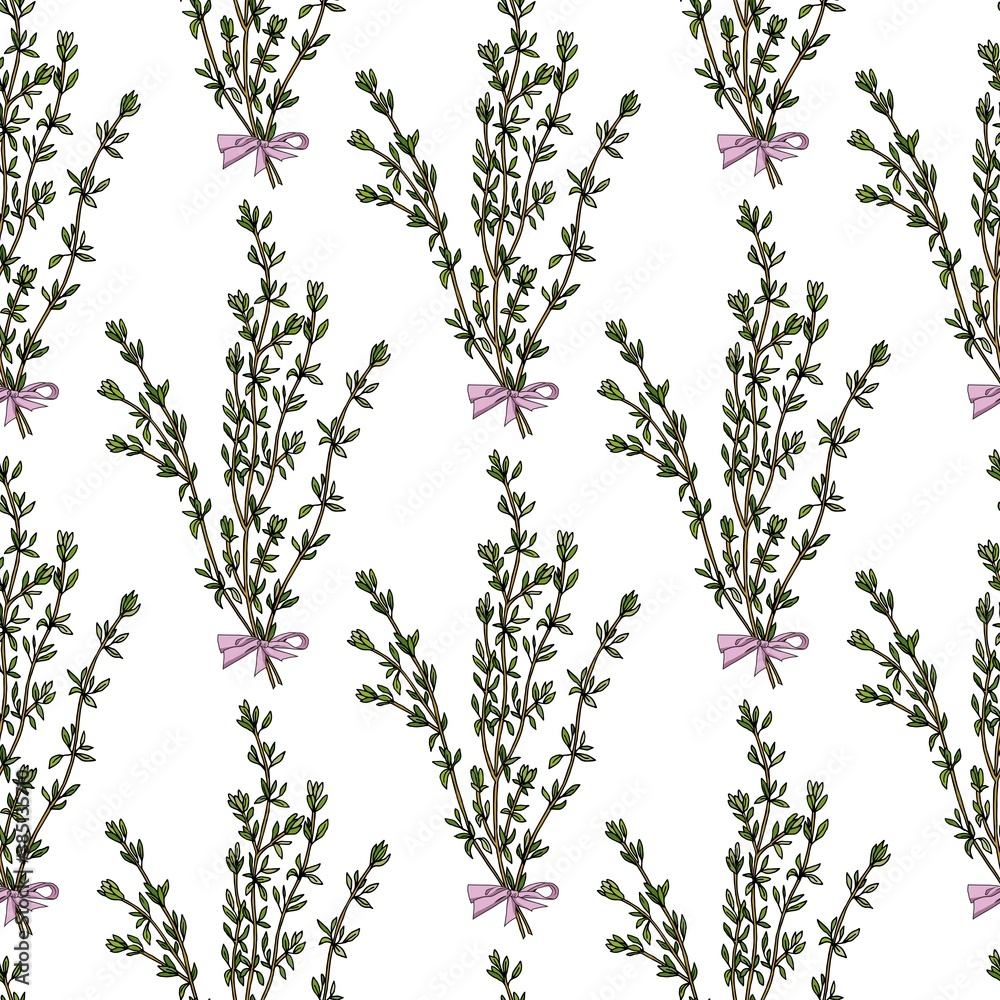 Seamless patterm thyme branches on white background vector illustration