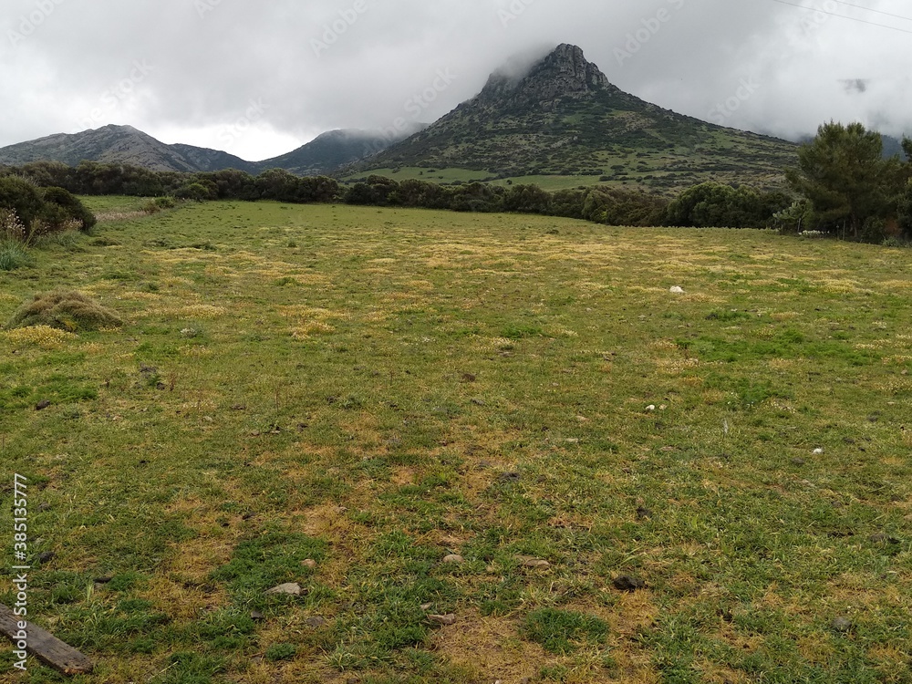 Fototapeta premium Beautiful green landscape and mountain on a foggy day