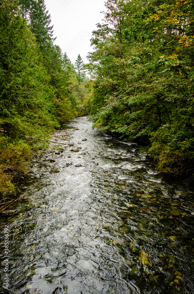 River View - Looking up the Little Qualicum River River View - Looking up the Little Qualicum River