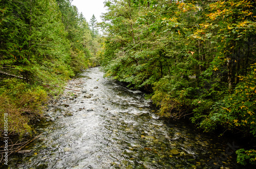 Autumn on the river - Fall colours along the Little Qualicum River