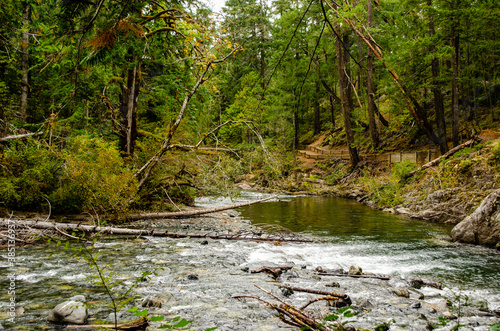 River Walk - Following the hiking trails along the river in Little Qualicum Falls Provincial Park photo