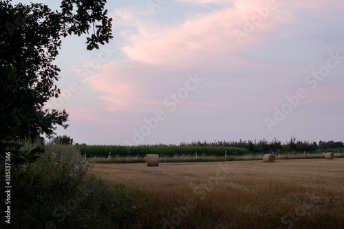 The evening after sunset with a pinkish sky over a truncated field
