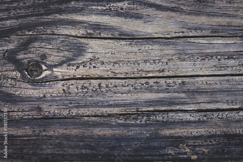 Old wood background. Rough darkened timber planks. Hardwood with cracks. Grunge wooden surface. Weathered boards with scratches. Carpentry concept.