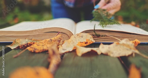 Woman Collecting Leaves, Putting Them Into A Book For Pressing. SLOW MOTION. Unrecognizable girl enjoying her decoration hobby in the garden, artistic autumn fun. Peaceful cinematic fall aesthetics. 