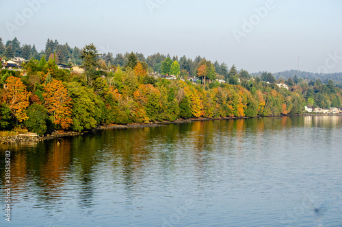Shore of colour - A colourful array of trees on a crisp autumn day along the shore of Departure Bay