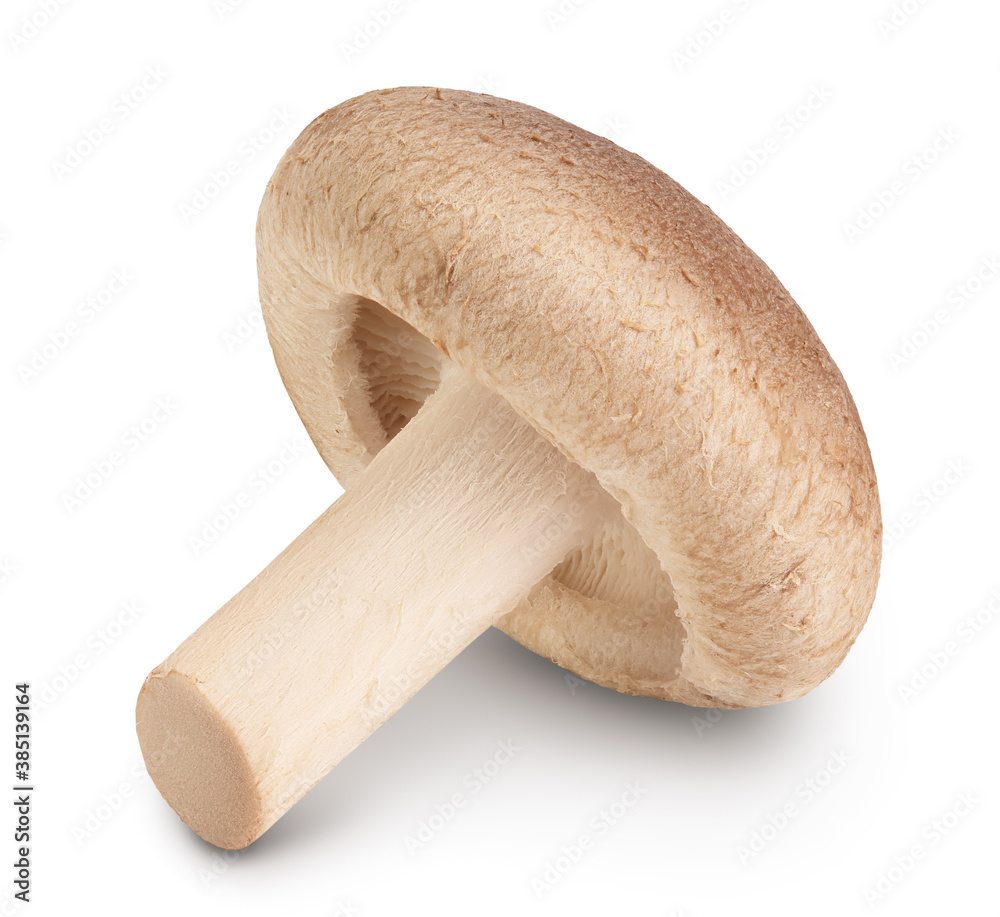 Fresh Shiitake mushroom isolated on white background with clipping path and full depth of field. Fresh Shiitake mushroom isolated on white background with clipping path and full depth of field.