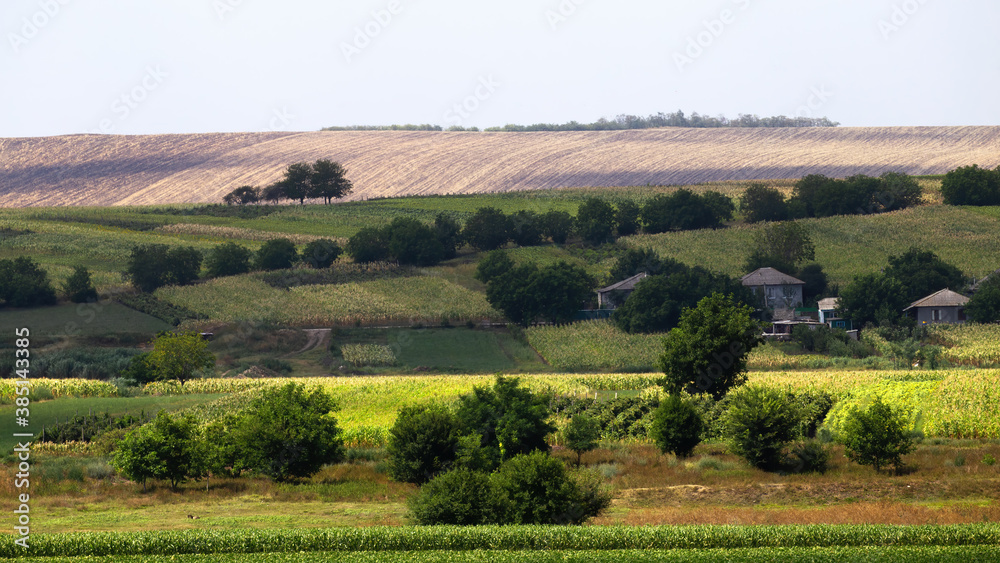 Fototapeta premium Nature scape of Moldova