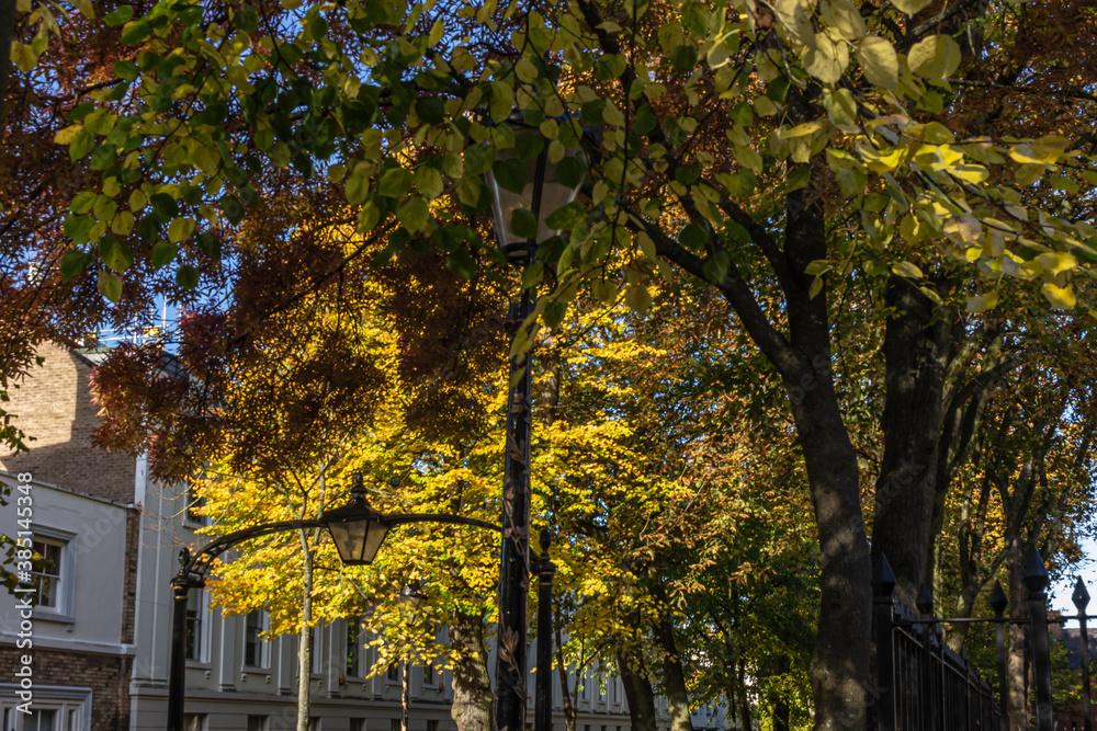 Naklejka premium New Walk in Leicester autumn