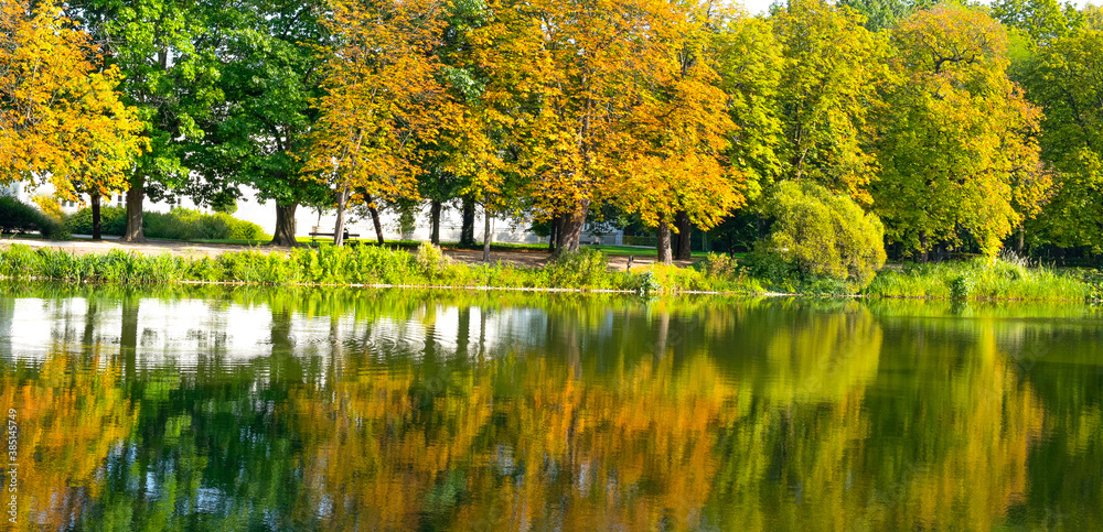 Fototapeta premium jesień