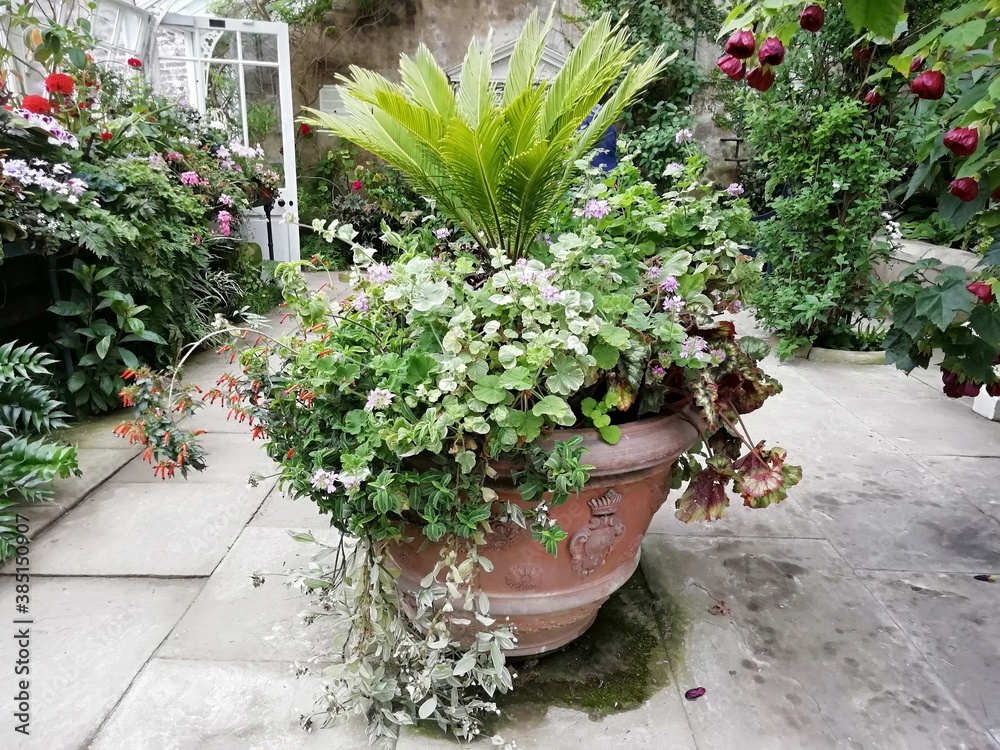 Large plant pot with plants in a greenhouse