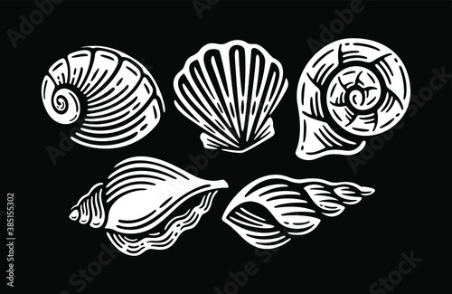 Seashells vector set. Collection of doodle sketches various mollusk sea shells.