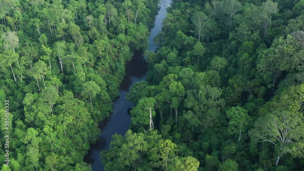 View from above, stunning aerial view of the Taman Negara National Park with the Sungai Tembeling River flowing through. The Taman Negara National Park is one of the World's oldest rainforest. View from above, stunning aerial view of the Taman Negara National Park with the Sungai Tembeling River flowing through. The Taman Negara National Park is one of the World's oldest rainforest.