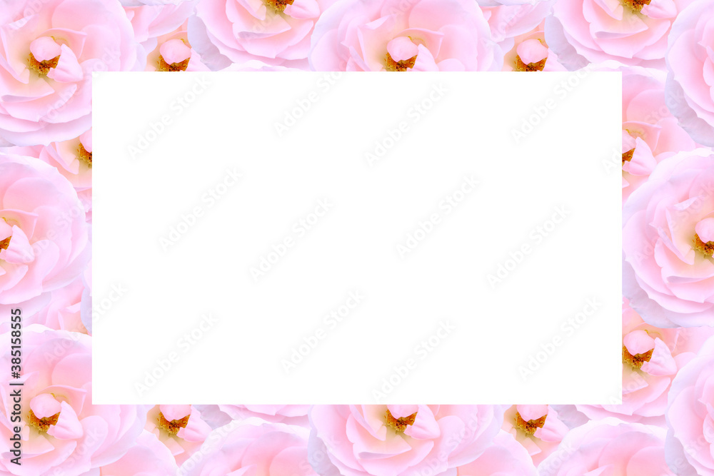 Wedding photo frame with copy space. Pink flowers of rose. Place for text