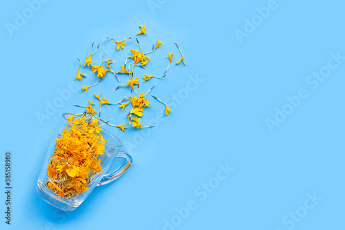 A glass cup with marigold flower petals on blue background. Flower herbal tea concept.