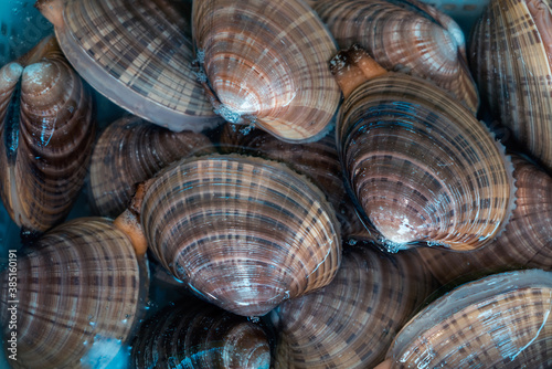 Fresh raw seafood