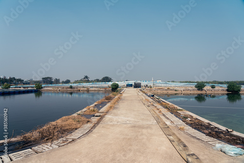 Wallpaper Mural Aquaculture factory farm Torontodigital.ca