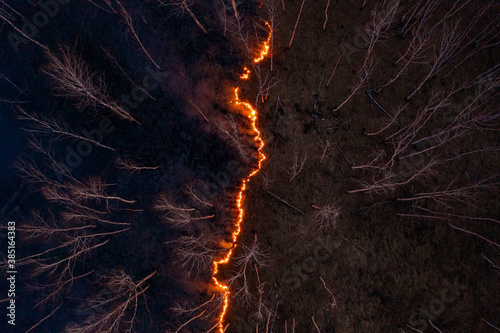 Fire spreading across dark forest photo