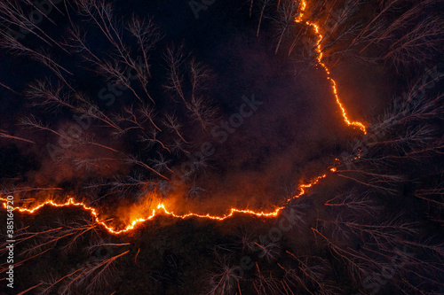 Burning fire in forest at night photo