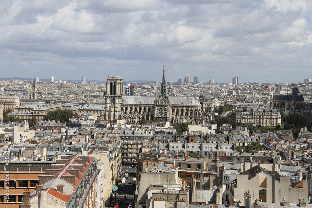 Beautiful view of Paris and Notre Dame, France