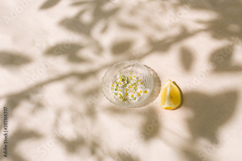 Simple still life with fresh chamomile flowers photo