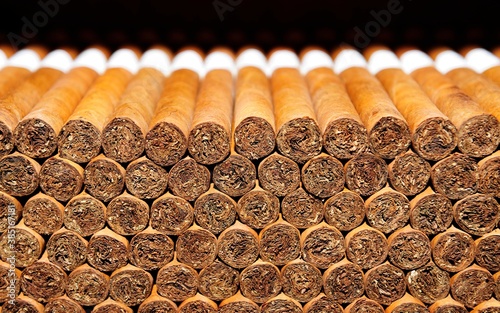 Cigars, cigar factory in Punta Cana, Dominican Republic, Caribbean, Central America photo