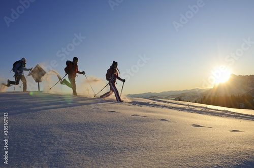 Snowshoers on a snowshoe hiking tour, Eggenalm alp, Tyrol, Tirol, Austria, Europe