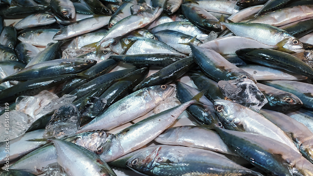 Fototapeta premium Texture background of fish at fish market