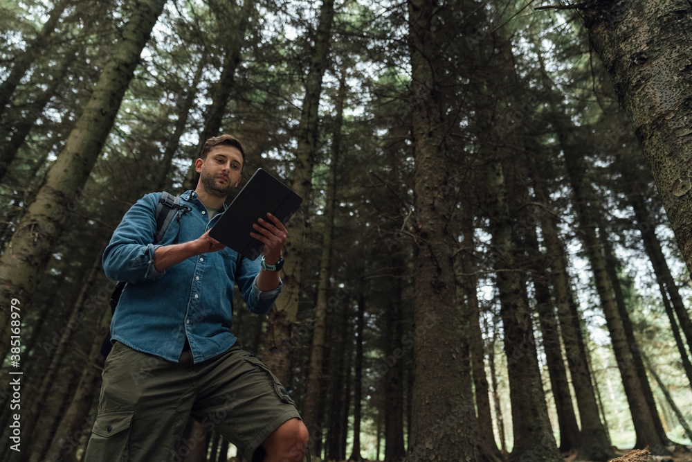 Man checking GPS over digital tablet while standing against trees in woodland Man checking GPS over digital tablet while standing against trees in woodland