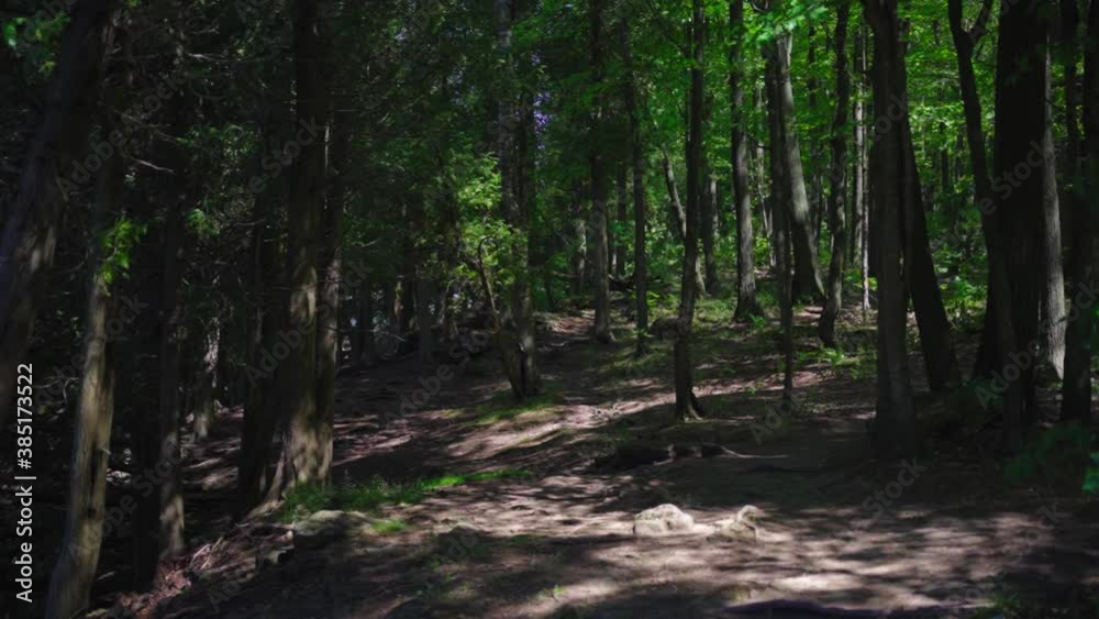 POV of walking through a beautiful, shadowy forest trail, SLOW MOTION POV of walking through a beautiful, shadowy forest trail, SLOW MOTION
