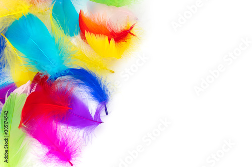 Many colored feathers use for background