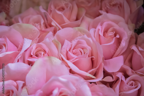 Plastic pink rose vintage background