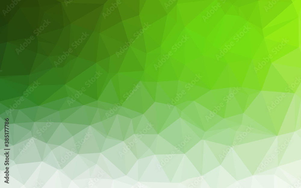 Light Green vector low poly layout. Light Green vector low poly layout.