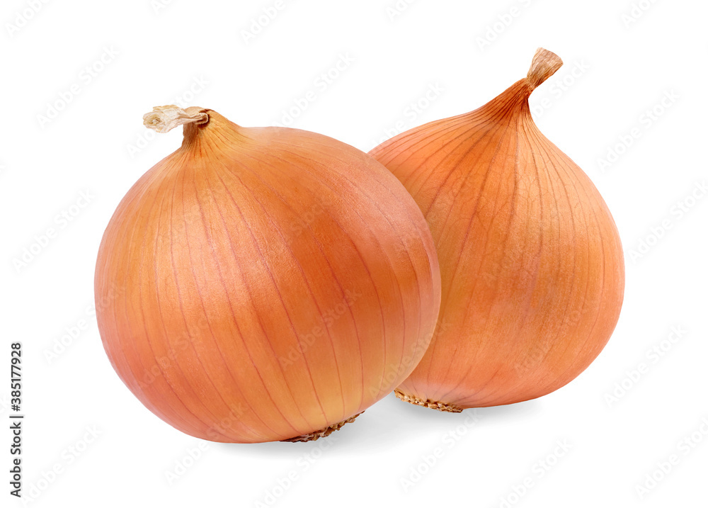 Two onion bulbs isolated on white background.