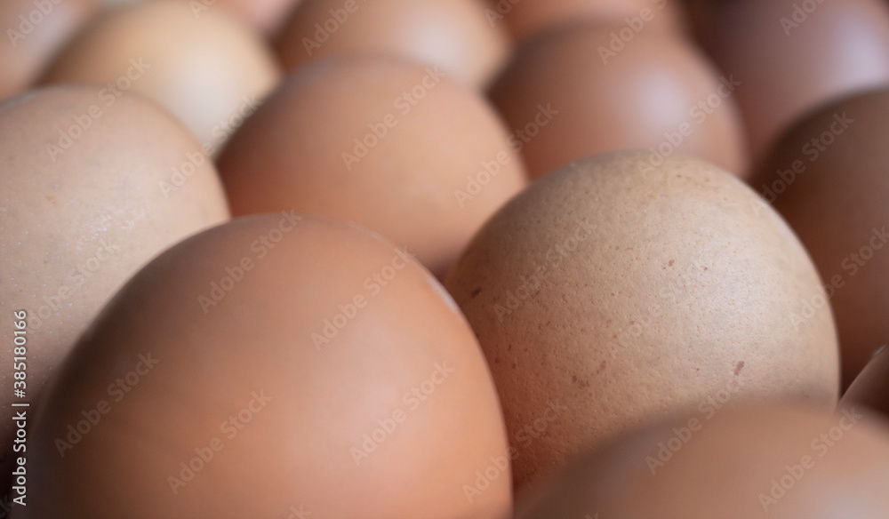 huevos frescos, huevos de gallina, comida saludable, proteínas y desayuno de calidad, ingrediente de muchas recetas huevos frescos, huevos de gallina, comida saludable, proteínas y desayuno de calidad, ingrediente de muchas recetas