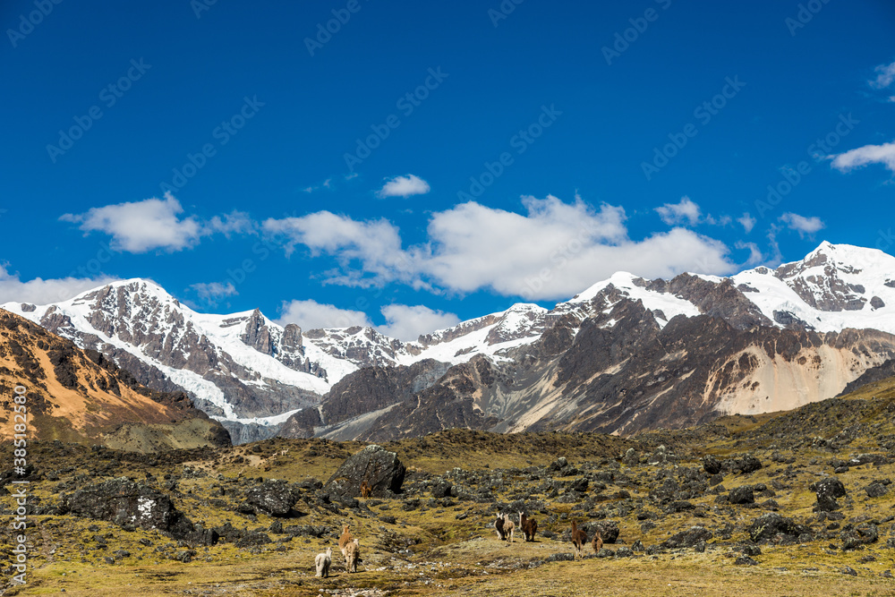 Nevados y montañas andinas con cielo azul 
