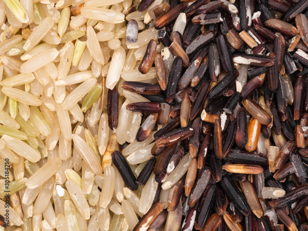 Mix of uncooked organic brown rice and riceberry rice in closeup Mix of uncooked organic brown rice and riceberry rice in closeup
