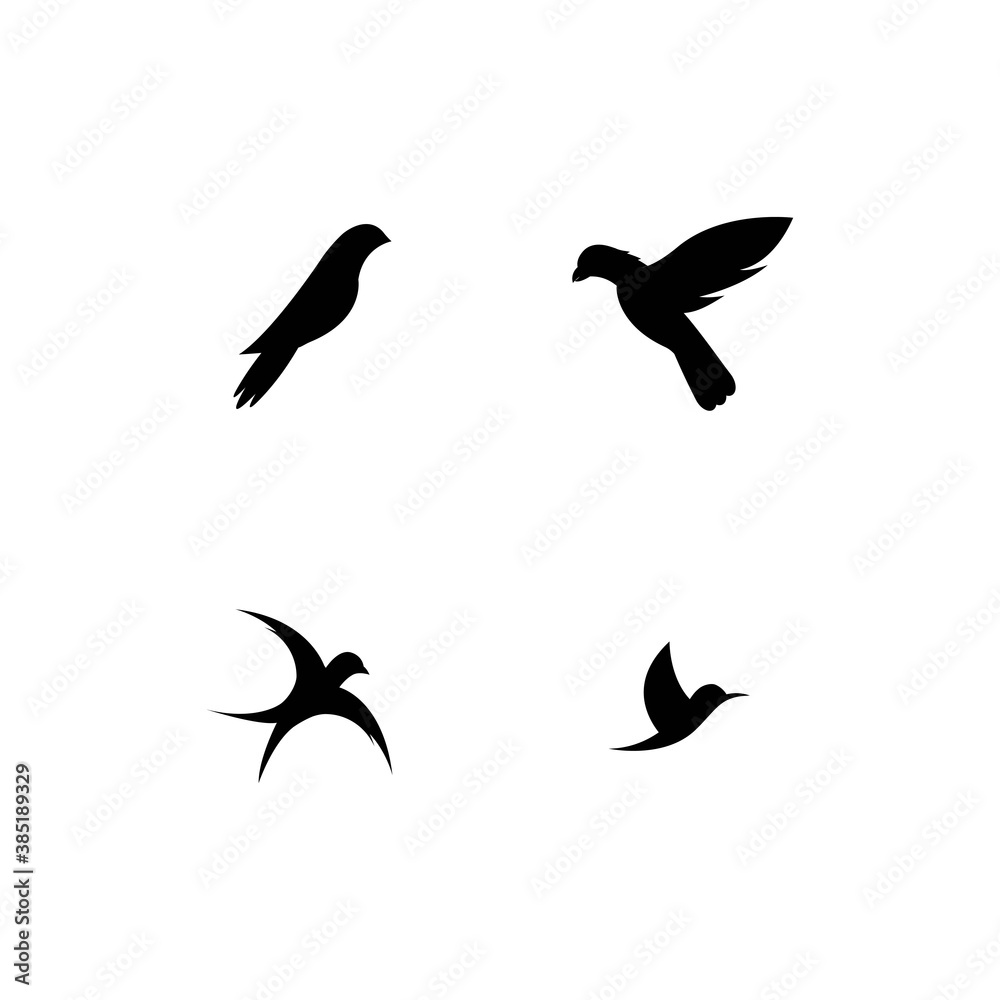 Fototapeta premium Bird Logo