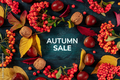 Autumn Sale banner design with autumn leaves, overhead flat lay shot on a blue background
