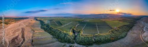 Aerial view of beautiful sunset over big vineyard in Panciu wine region, Romania
