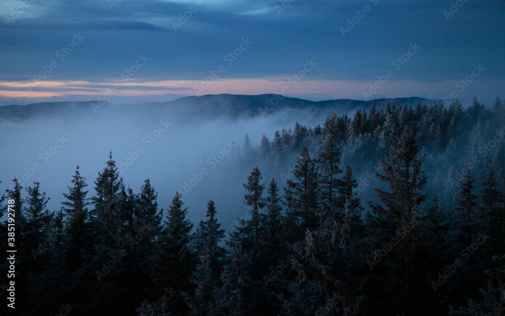 Twilight foggy forest an mountain landscape in central Norway