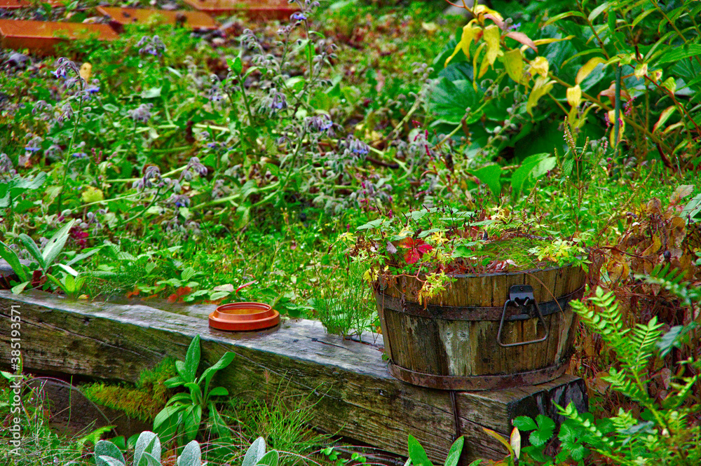 古い木の鉢が置かれた草の生い茂った庭