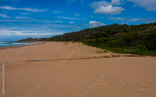 Wide Stretch of Beach Leading up to Vegetation Covered Dunes © lcswart