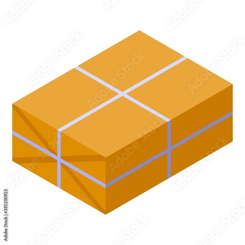 Packed box icon. Isometric of packed box vector icon for web design isolated on white background