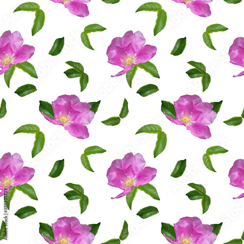 Pattern with Rosehip flower with raindrops and green leaves on a white background. Seamless floral pattern for fabric, textile, wrapping paper.