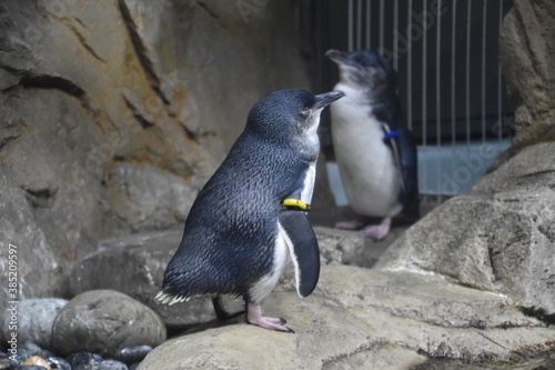 Aquarium in Sendai City, Japan