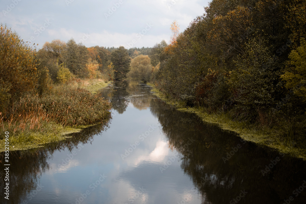 a small river that flowed through the autumn forest. forest in mid-autumn. the nature of Belarus